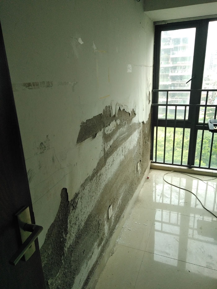 ����ˢ��